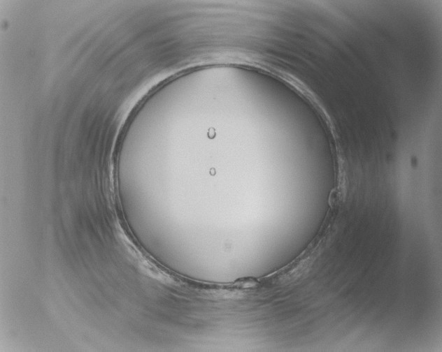 X0000051910996200507152026