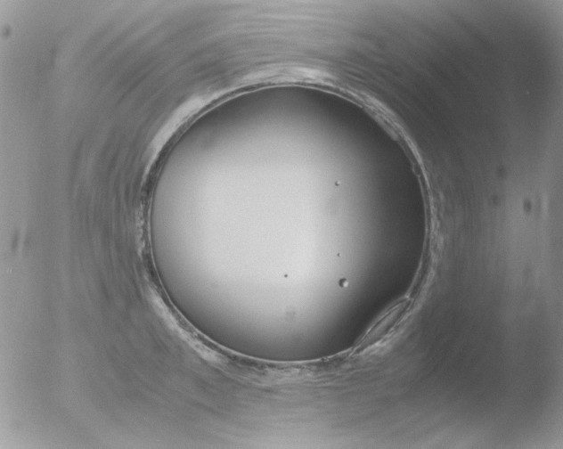 X0000051910997200507152026