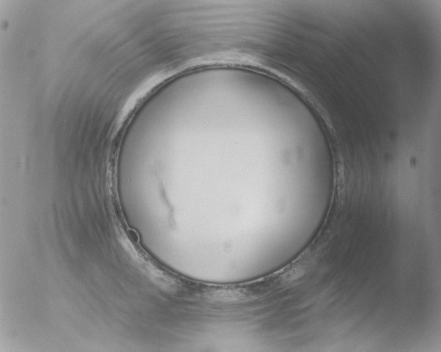 X0000051910998200507152026