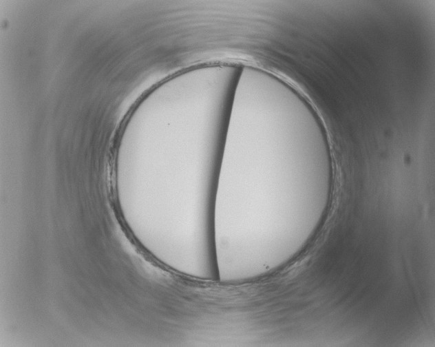 X0000051910999200507152026