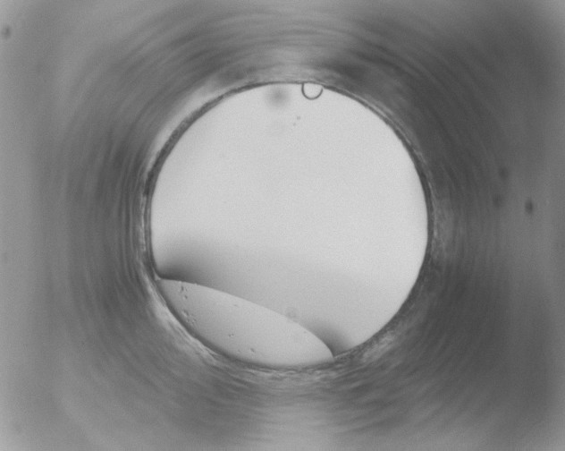 X0000051911000200507152026