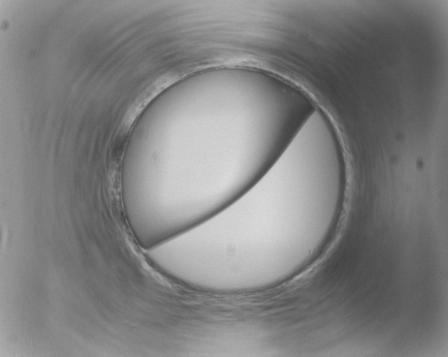 X0000051911001200507152026