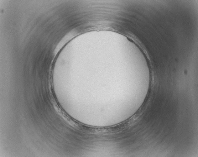 X0000051911002200507152026