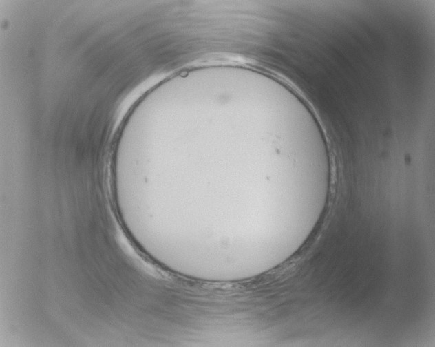 X0000051911003200507152026