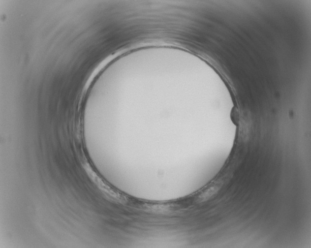 X0000051911004200507152026