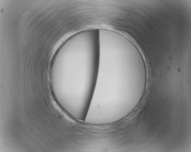 X0000051911005200507152026