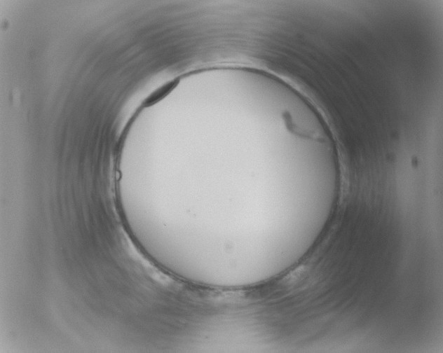 X0000051911006200507152026