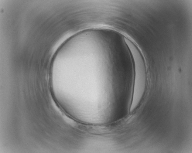 X0000051911007200507152026