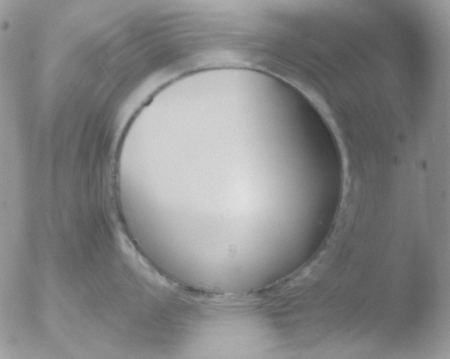 X0000051911008200507152026