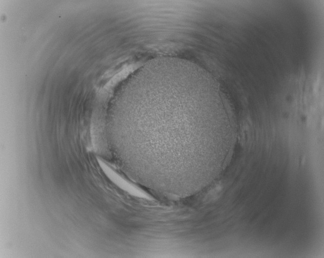 X0000051911010200507152025