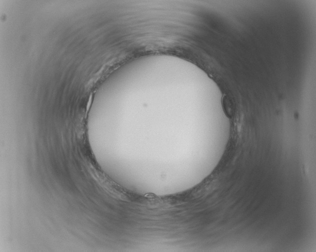 X0000051911012200507152025