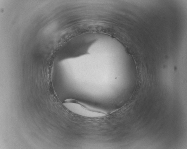 X0000051911013200507152025