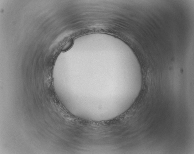 X0000051911015200507152025