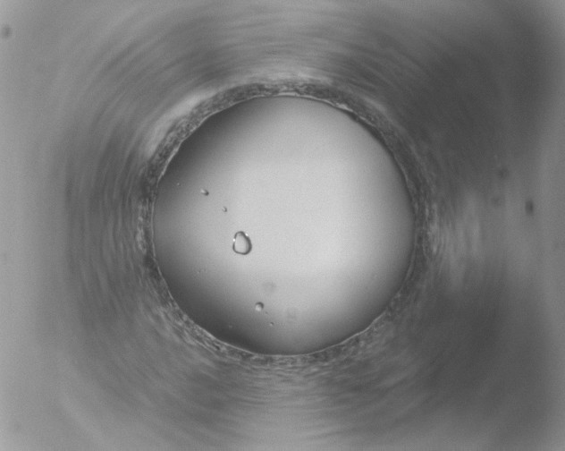 X0000051911016200507152025