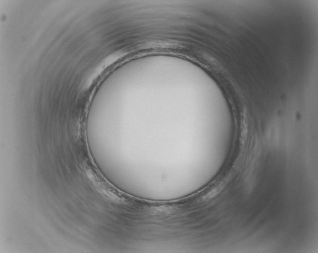 X0000051911017200507152025