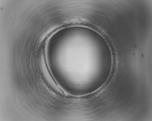 X0000051911018200507152025