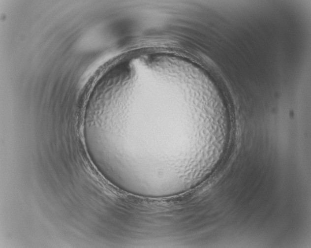 X0000051911019200507152025