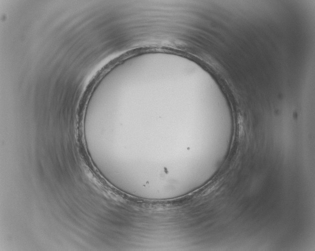 X0000051911020200507152025