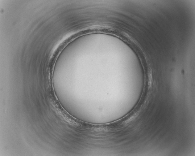 X0000051911021200507152025