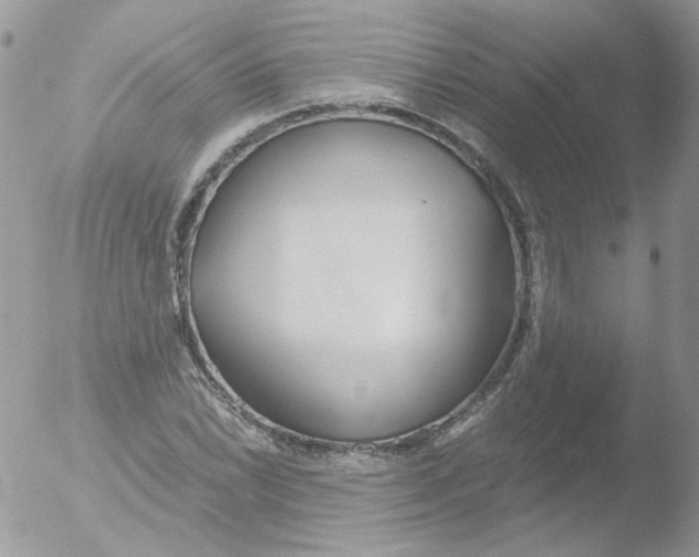 X0000051911022200507152025