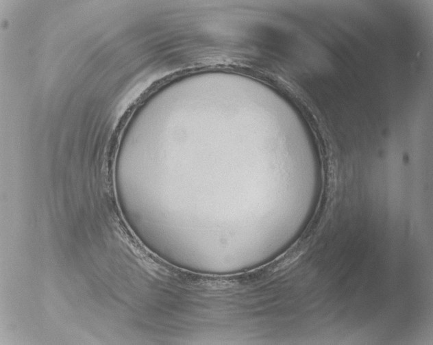 X0000051911023200507152025