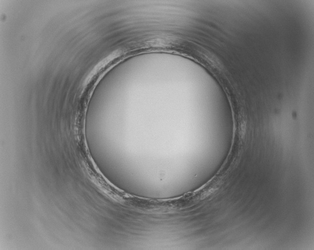 X0000051911026200507152025