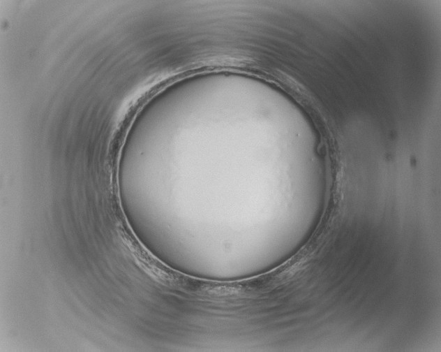 X0000051911027200507152025