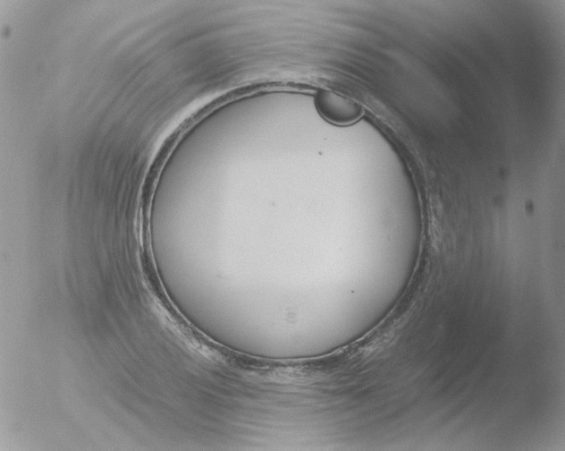 X0000051911028200507152025