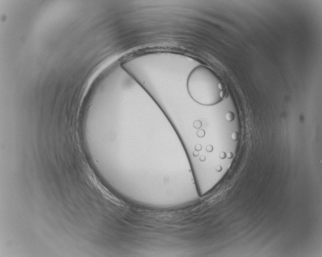 X0000051911029200507152025