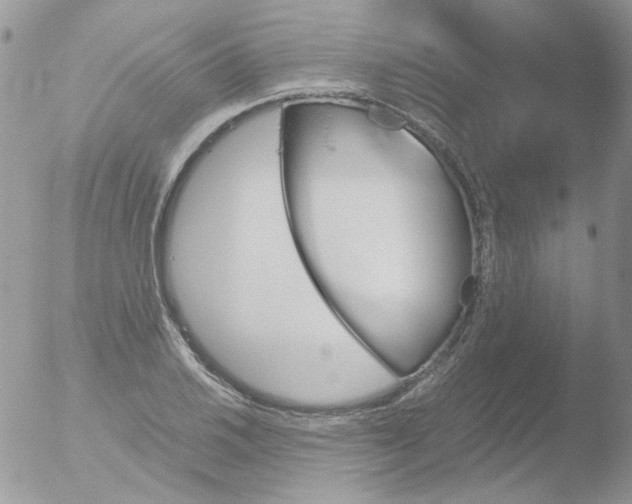 X0000051911030200507152025