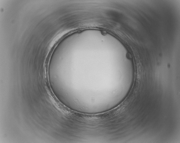 X0000051911031200507152025