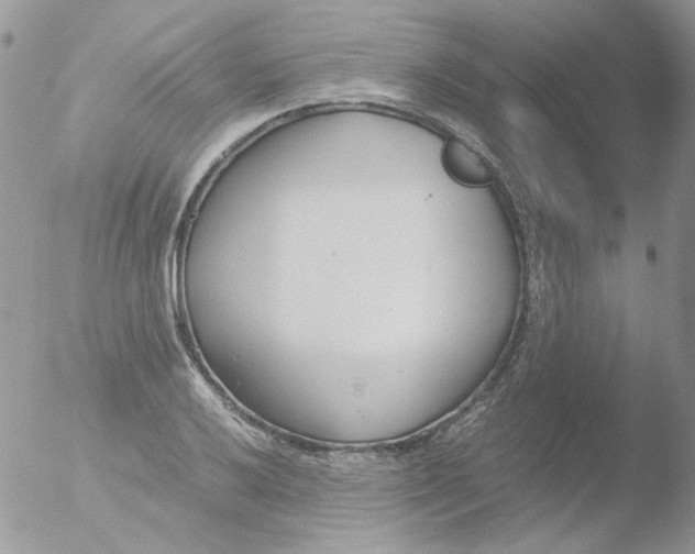 X0000051911032200507152025