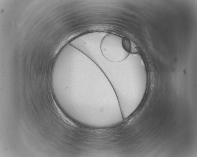 X0000051911033200507152025