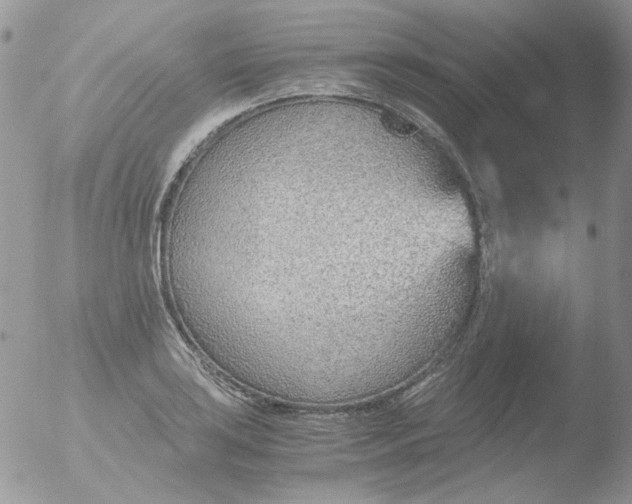 X0000051911035200507152025