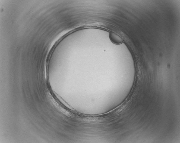 X0000051911036200507152025