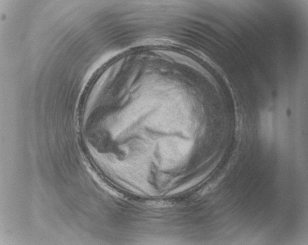 X0000051911037200507152025