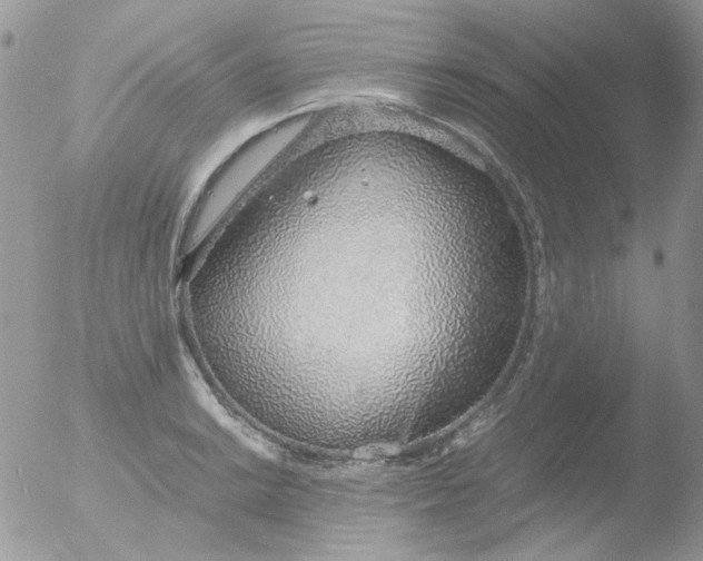 X0000051911038200507152026