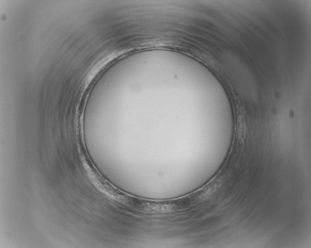 X0000051911039200507152026