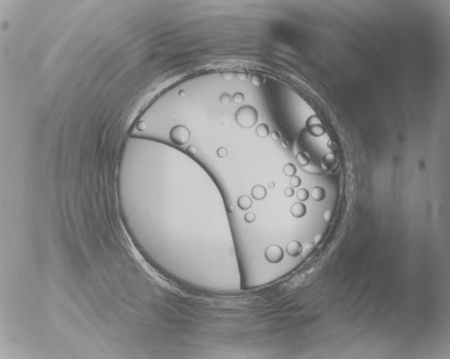 X0000051911041200507152026