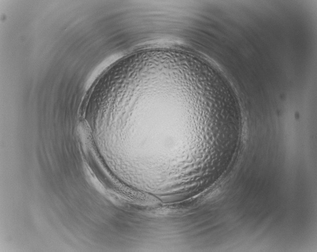 X0000051911042200507152026