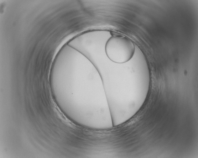 X0000051911044200507152026