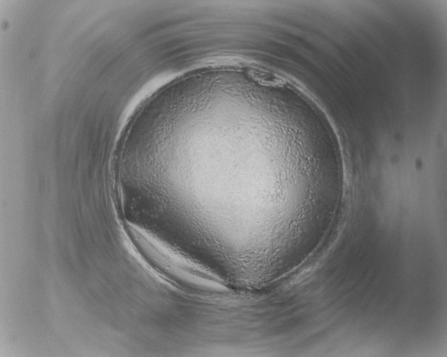 X0000051911045200507152026