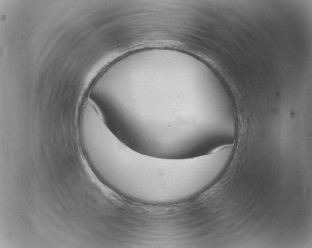 X0000051911046200507152026