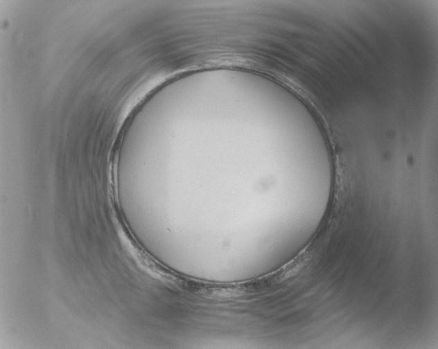 X0000051911047200507152026