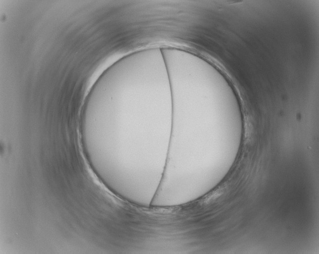 X0000051911048200507152026