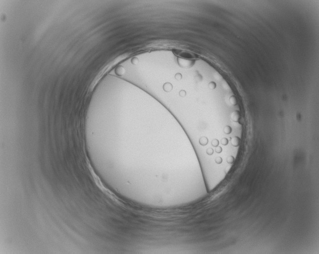 X0000051911049200507152026