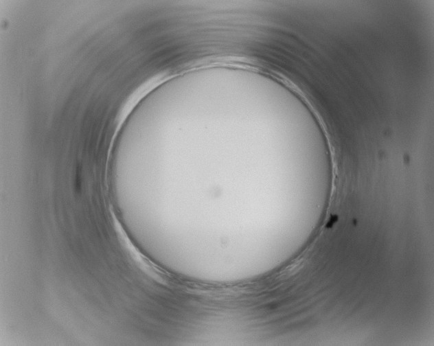 X0000051911050200507152026