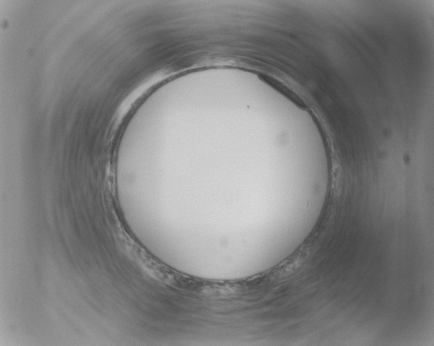 X0000051911051200507152026