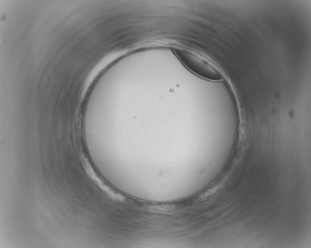 X0000051911053200507152026