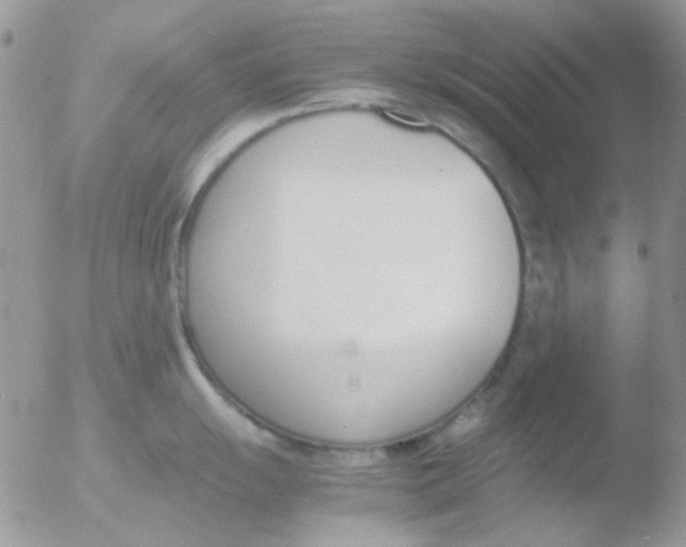 X0000051911055200507152026